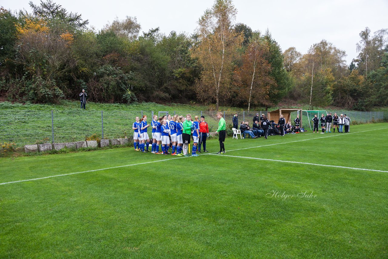 Bild 164 - Frauen FSC Kaltenkirchen - VfR Horst : Ergebnis: 2:3